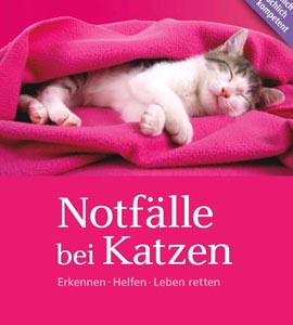 Notflle bei Katzen