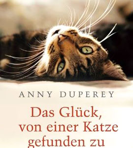 Das Glck, von einer Katze gefunden zu werden