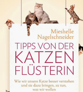 Tipps von der Katzenflsterin