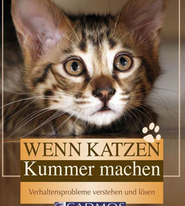 Wenn Katzen Kummer machen