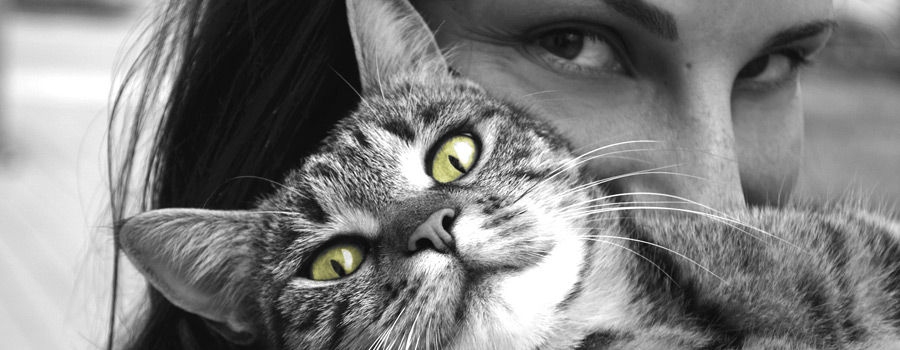 10 Fragen an Anna Cavelius, Autorin von "Kluge Frauen und ihre Katzen"