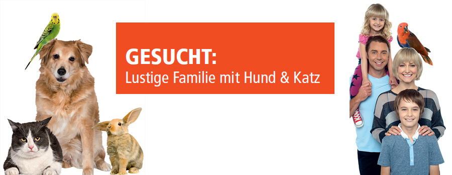 Gesucht: Lebensfrohe Familie mit Haustieren