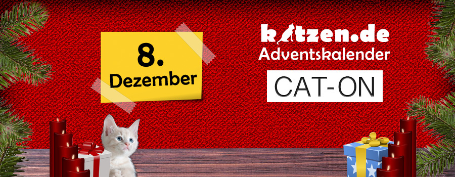 Gewinnspiel: Kratzbrett Feline von cat-on