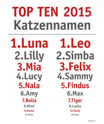Top Ten Katzennamen 2015
