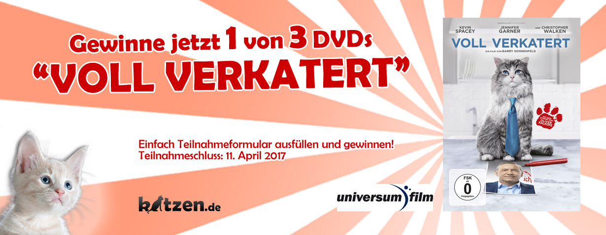 Gewinnspiel: VOLL VERKATERT