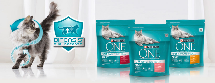 Jetzt das neue Purina ONE BIFENSIS® gewinnen