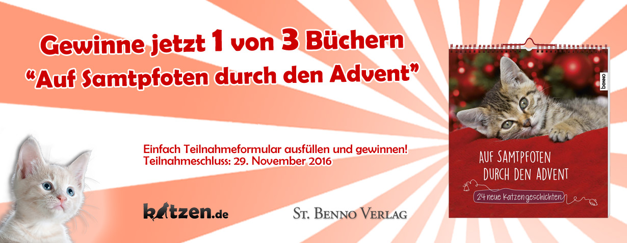 Gewinnspiel: Auf Samtpfoten durch den Advent