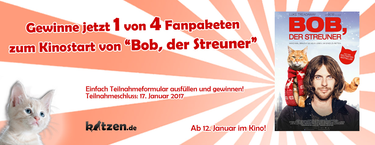 Gewinnspiel zum Kinostart von Bob, der Streuner