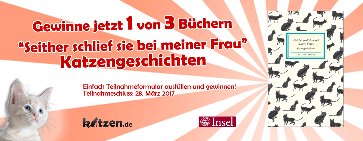 Gewinnspiel: »Seither schlief sie bei meiner Frau« – Katzengeschichten