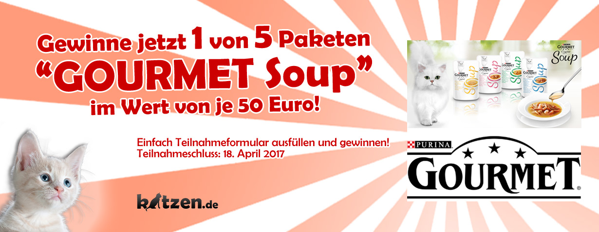 Gewinnspiel: GOURMET Soup – köstliche Brühen für Ihre Samtpfote zu gewinnen