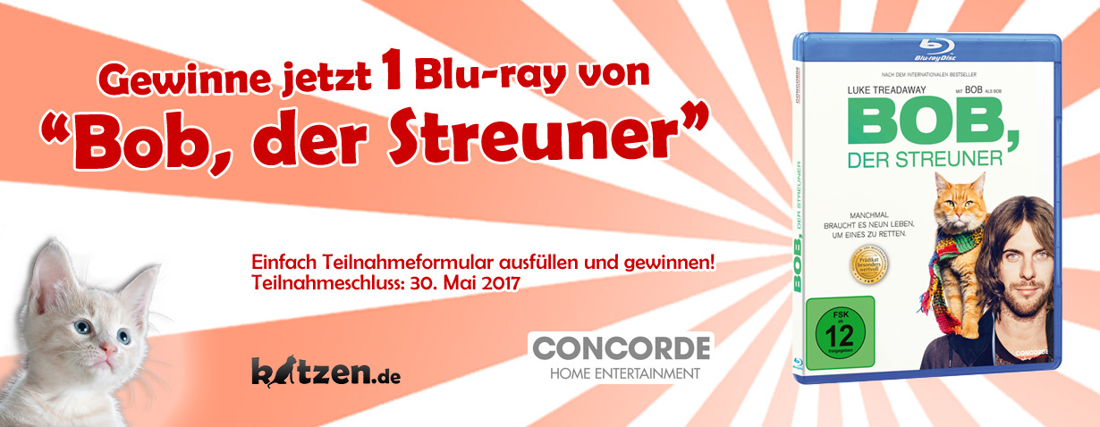 Gewinnspiel: Bob, der Streuner (auf Blu-ray)