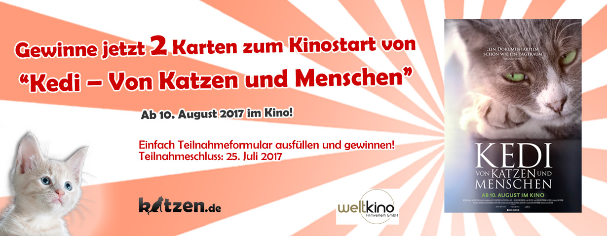 Gewinnspiel: KEDI – Von Katzen und Menschen (Kinostart: 10. August 2017)