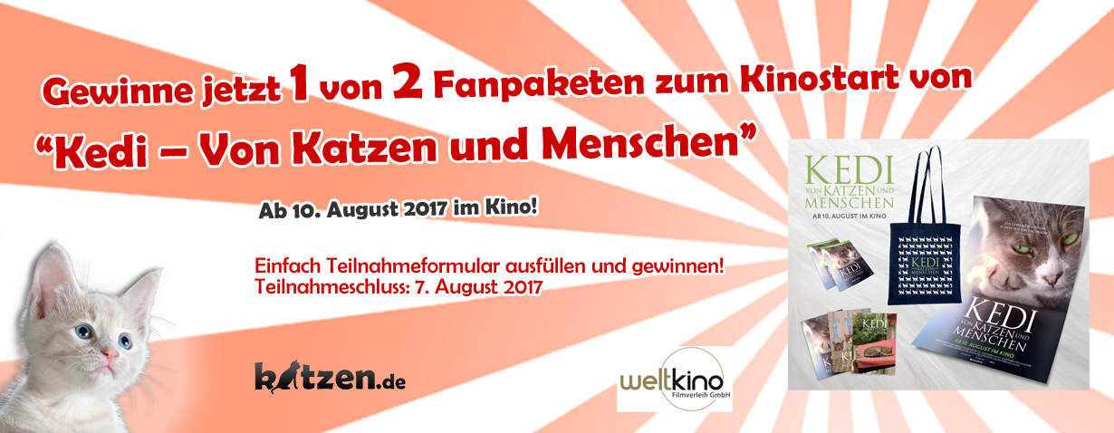 Weltkatzentag-Gewinnspiel: Fanpakete zum Kinofilm “KEDI – Von Katzen und Menschen”!