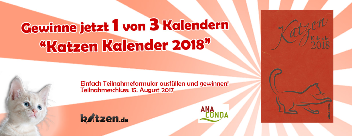 Gewinnspiel: Katzen Kalender 2018