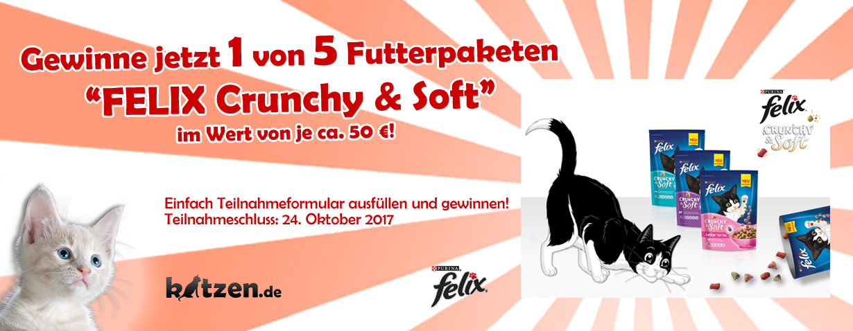 Gewinnspiel: Futterpakete von FELIX im Wert von je 50 EUR!