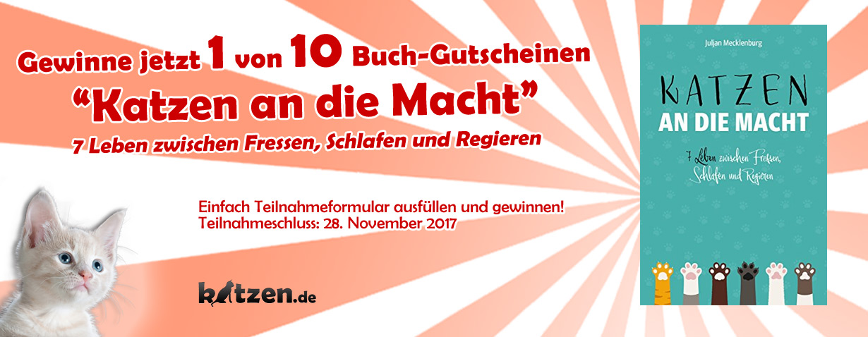 Gewinnspiel: Katzen an die Macht – 7 Leben zwischen Fressen, Schlafen und Regieren