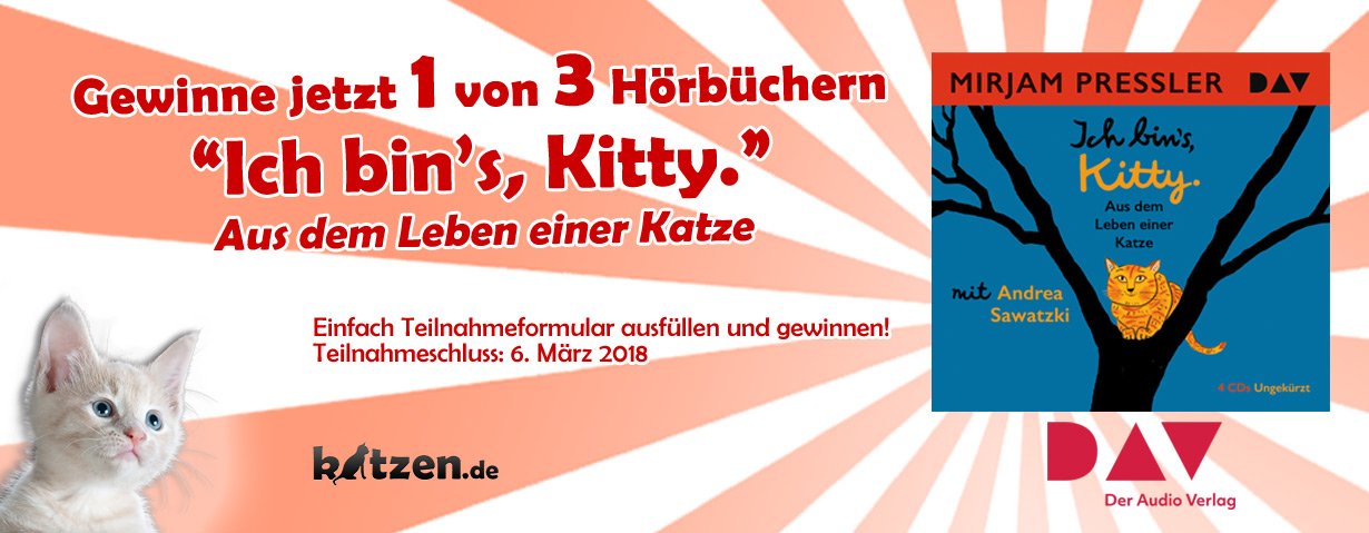 Gewinnspiel: Ich bin’s, Kitty – Aus dem Leben einer Katze