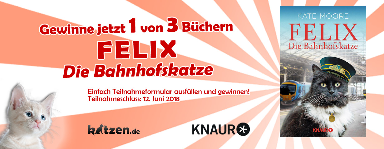 Gewinnspiel: Felix – Die Bahnhofskatze