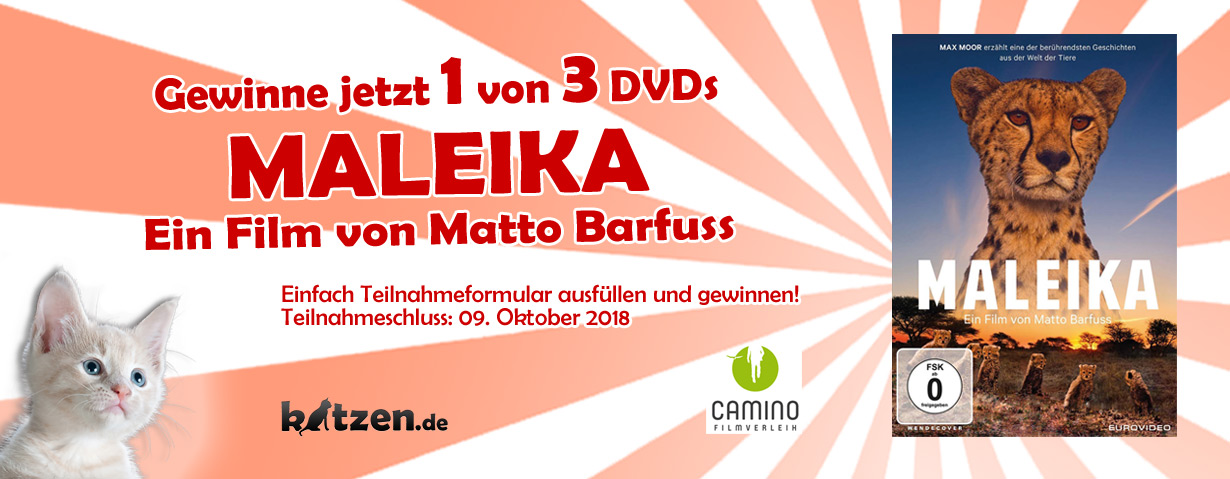 Gewinnspiel: Drei DVDs zum Heimkinostart von "MALEIKA"