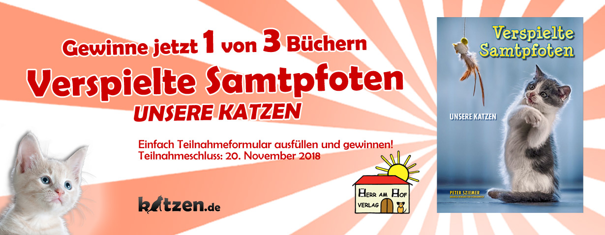 Gewinnspiel: Verspielte Samtpfoten - UNSERE KATZEN