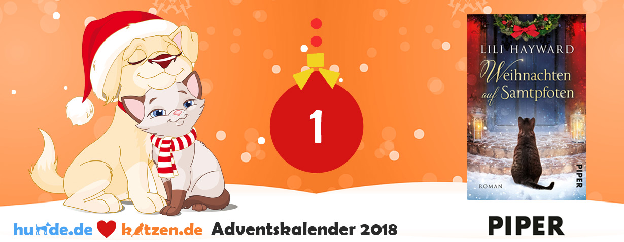 Gewinnspiel: Weihnachten auf Samtpfoten