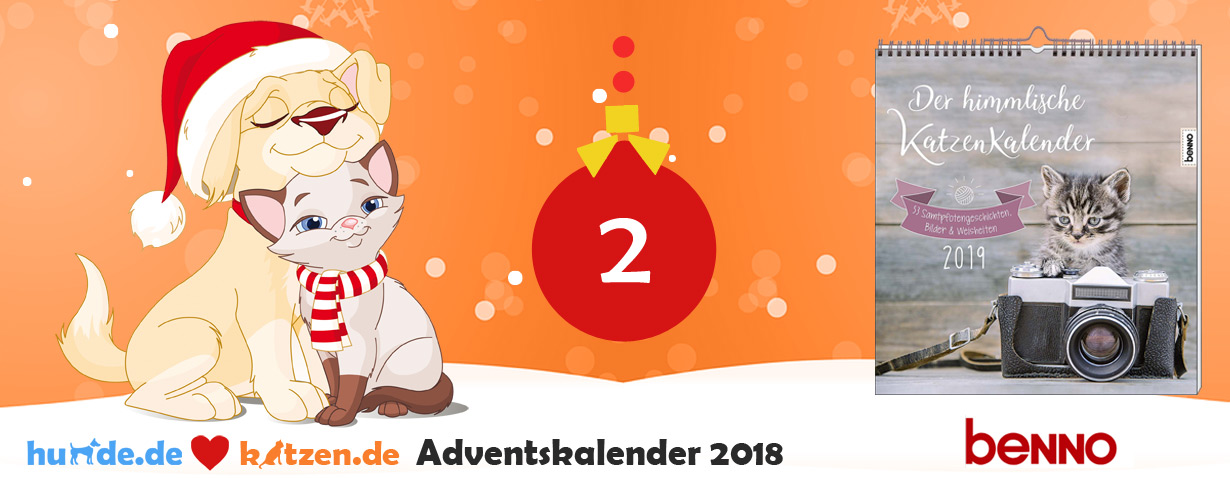 Gewinnspiel: Der himmlische Katzenkalender 2019 - 53 Samtpfotengeschichten, Bilder & Weisheiten