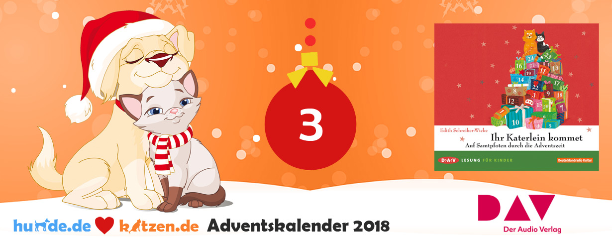 Gewinnspiel: Ihr Katerlein kommet - Auf Samtpfoten durch die Adventszeit