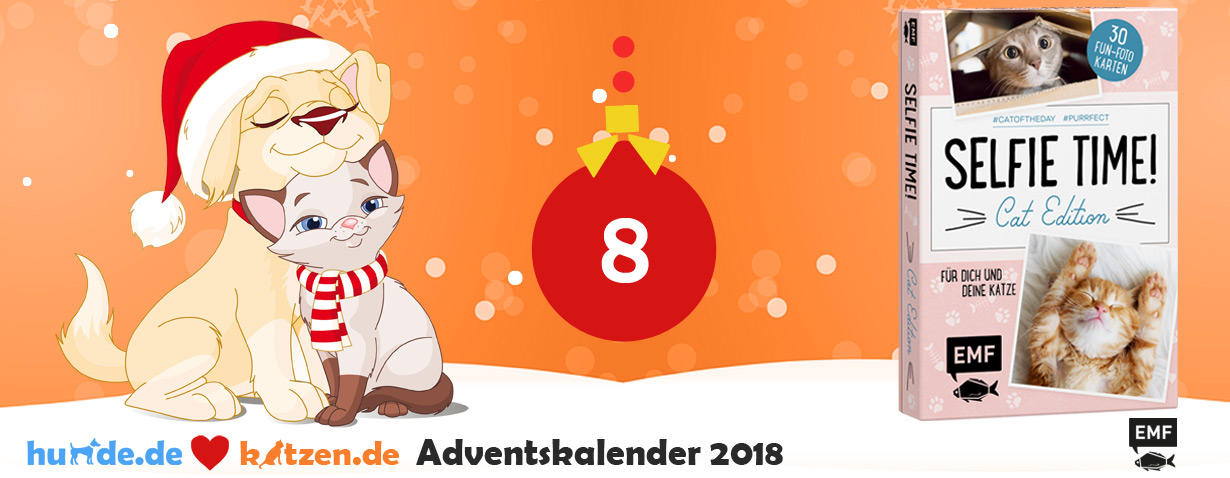 Gewinnspiel: SELFIE TIME! Cat Edition – 30 Fun-Fotokarten