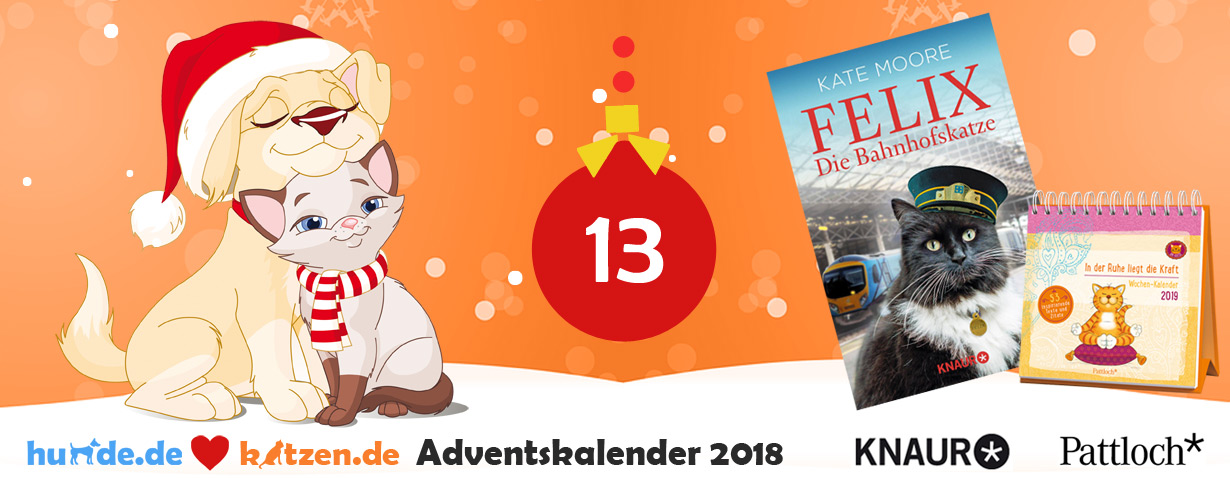 Gewinnspiel: „Felix – Die Bahnhofskatze“ & „Om-Katze: In der Ruhe liegt die Kraft – Wochen-Kalender 2019“