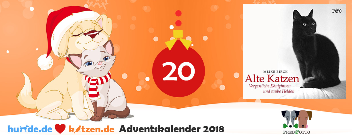 Gewinnspiel: Alte Katzen - Vergessliche Königinnen und taube Helden