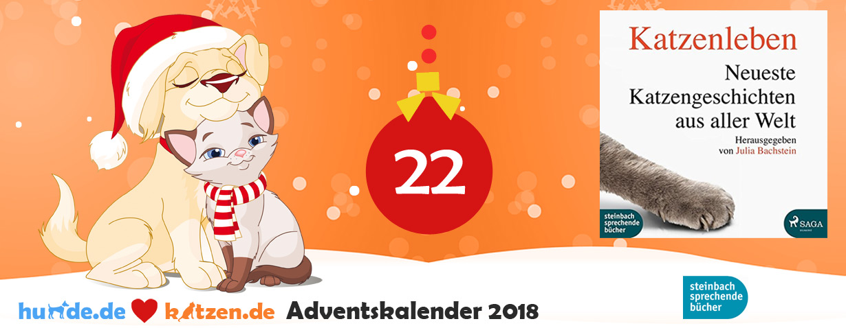 Gewinnspiel: Katzenleben – Neueste Katzengeschichten aus aller Welt