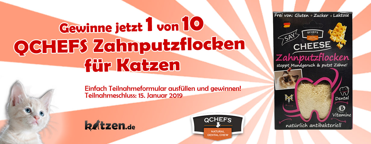 Gewinnspiel: 10 mal "QCHEFS Zahnputzflocken für Katzen"