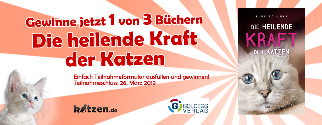 Gewinnspiel: Die heilende Kraft der Katzen