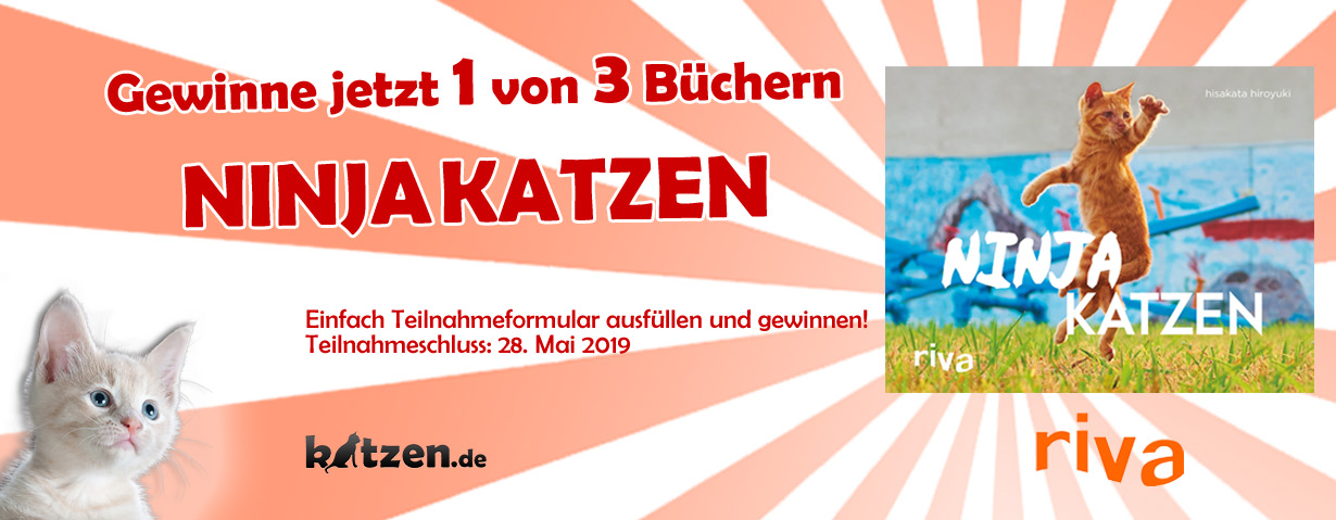 Gewinnspiel: Ninjakatzen