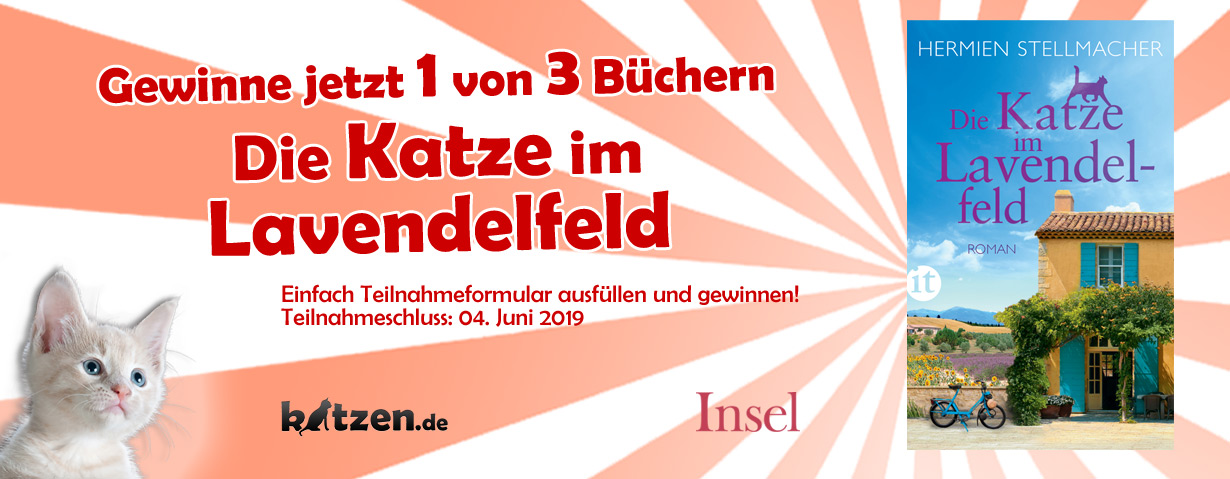 Gewinnspiel: Die Katze im Lavendelfeld