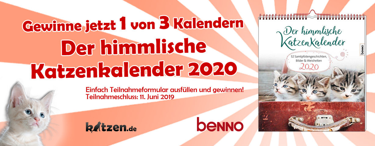 Gewinnspiel: Der himmlische Katzenkalender 2020 – 52 Samtpfotengeschichten, Bilder & Weisheiten