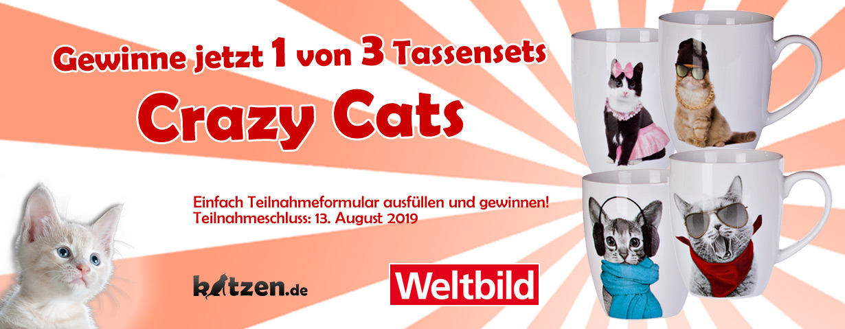 Gewinnspiel: Drei Tassensets “Crazy Cats” von Weltbild