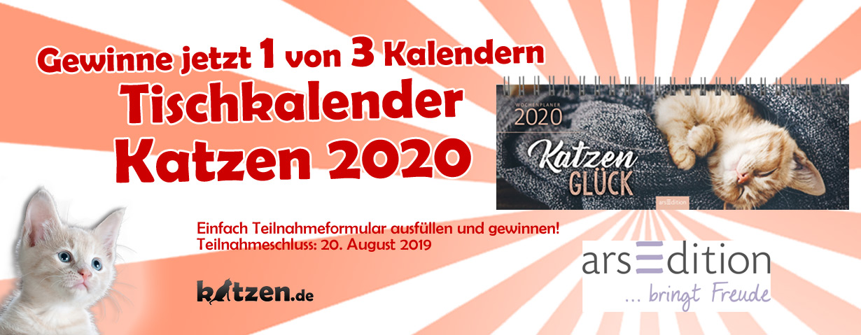 Gewinnspiel: Tischkalender Katzen 2020