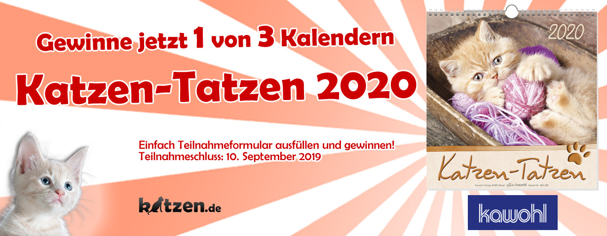 Gewinnspiel: Wand-Kalender Katzen-Tatzen 2020