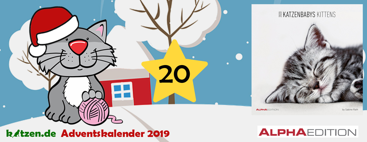 Gewinnspiel: Katzenbabys / Kittens 2020 - Wandkalender