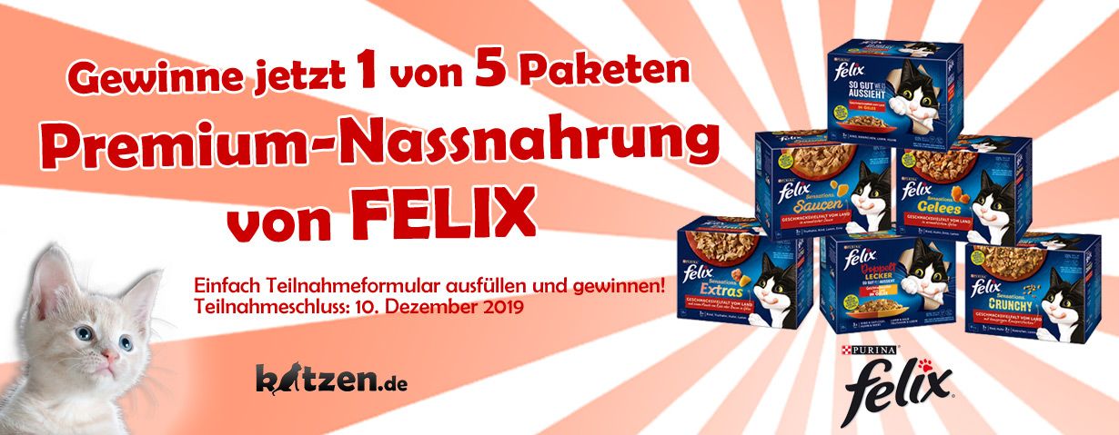 Gewinnspiel: Fünf leckere Pakete Premium-Nassnahrung von FELIX