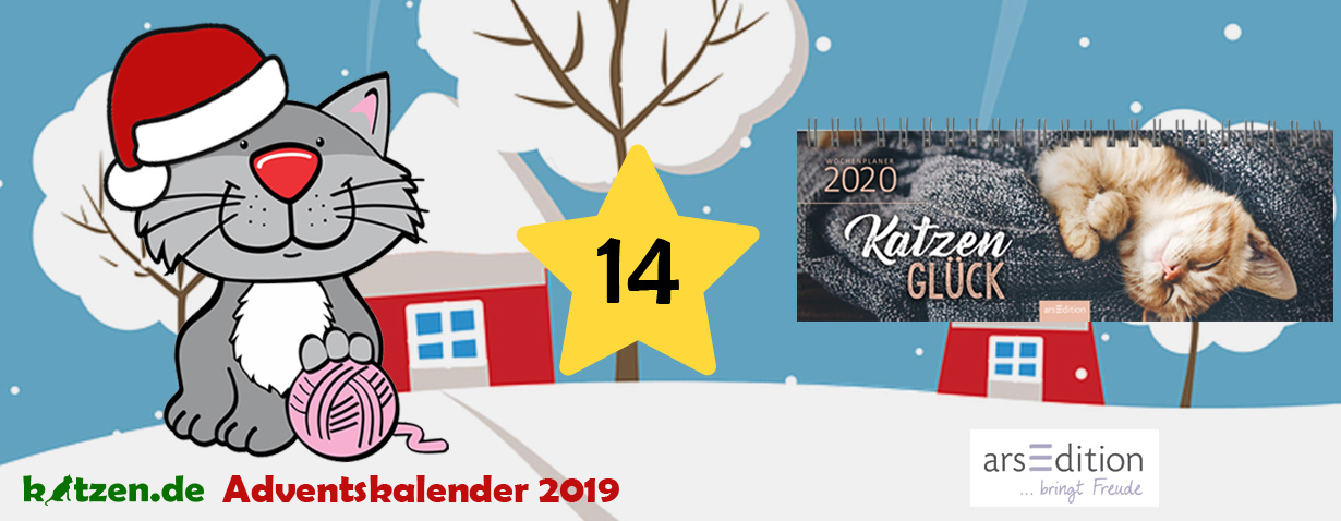 Gewinnspiel: Tischkalender Katzen 2020 - Praktischer Wochenplaner für alle Katzenfreunde