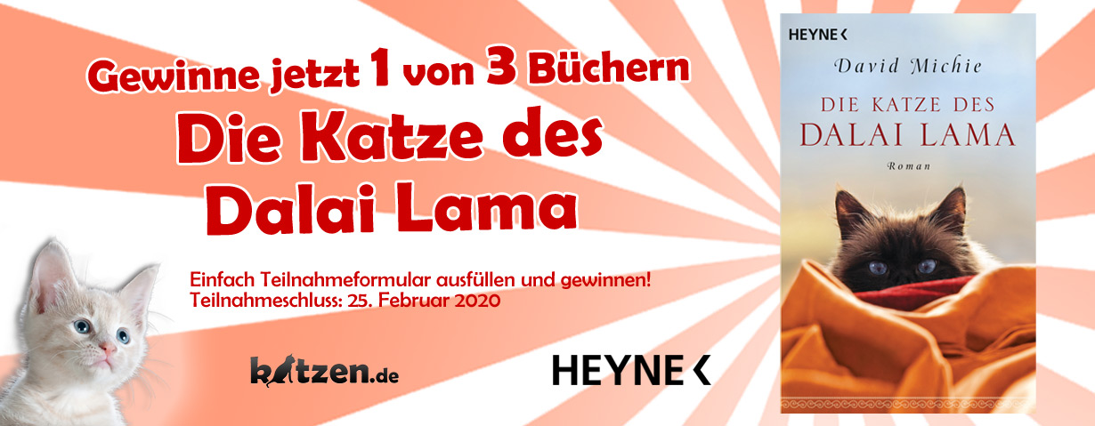 Gewinnspiel: Die Katze des Dalai Lama