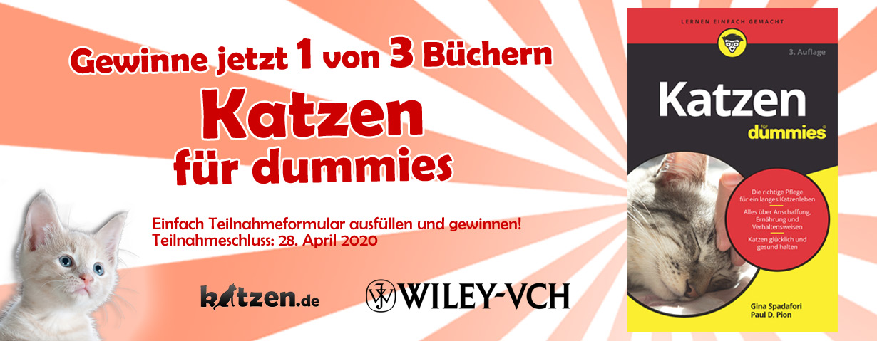 Gewinnspiel: Katzen für Dummies