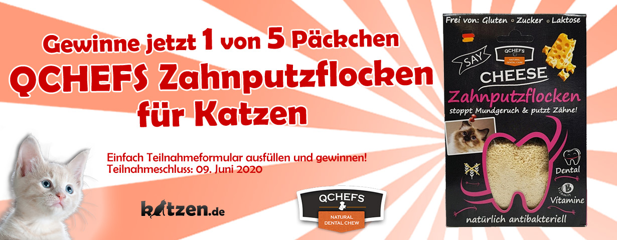 Gewinnspiel: 5 mal "QCHEFS Zahnputzflocken für Katzen"