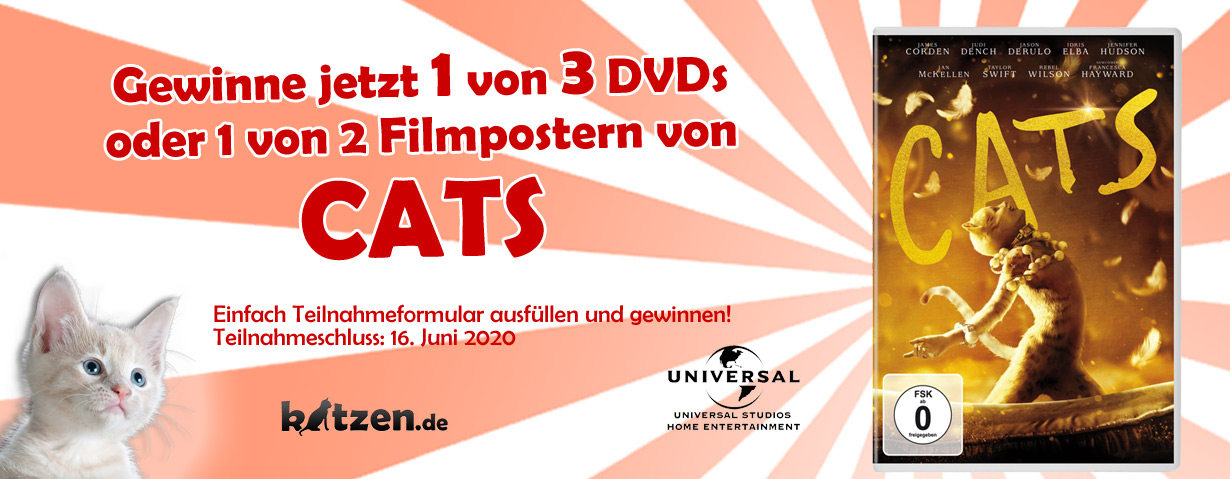 Gewinnspiel: 3 DVDs und 2 Filmposter von CATS!