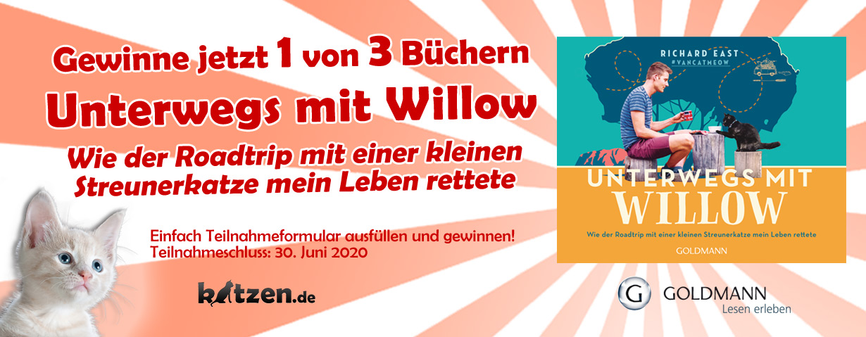 Gewinnspiel: Unterwegs mit Willow – Wie der Roadtrip mit einer kleinen Streunerkatze mein Leben rettete