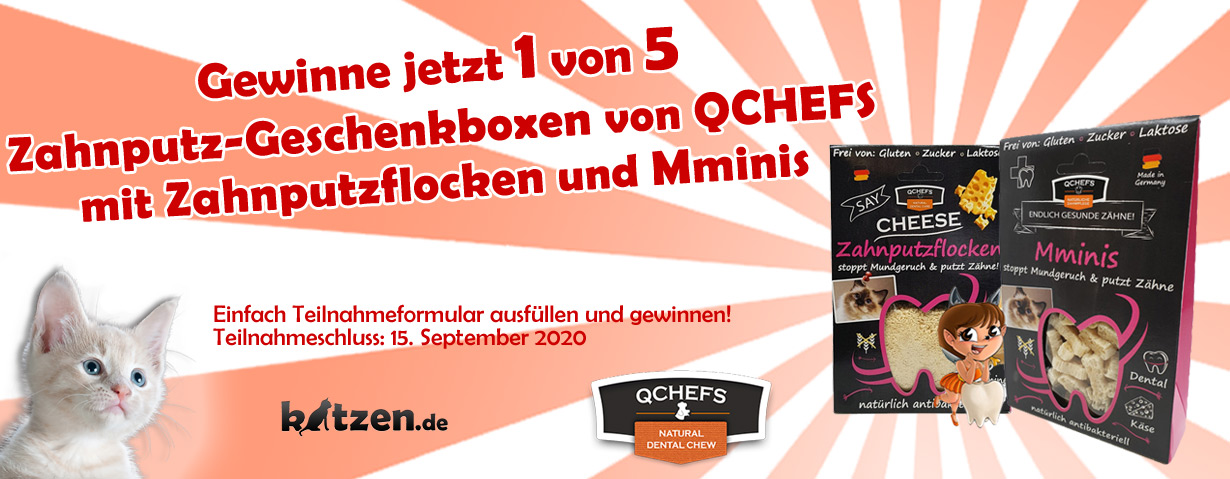 Gewinnspiel: Fünf Zahnputz-Geschenkboxen von QCHEFS mit Zahnputzflocken und Mminis