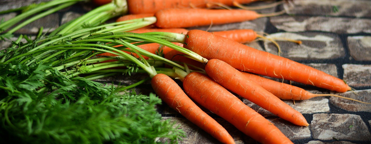 Hausmittel: Karottensuppe für den Darm