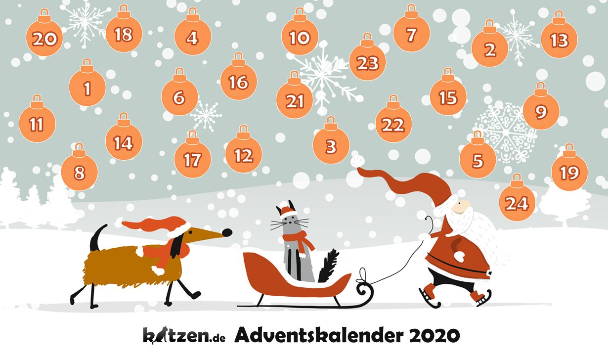 Der große katzen.de-Adventskalender 2020